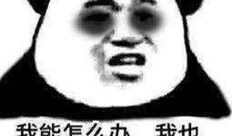 吃瓜是什么意思 体育圈饭圈,体育圈饭圈现象深度解析